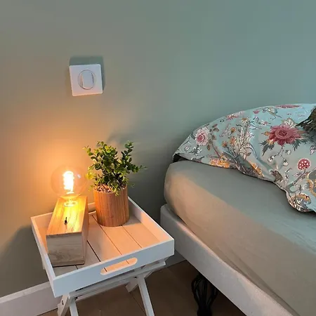 Nice-flat-nice Apartment Nice