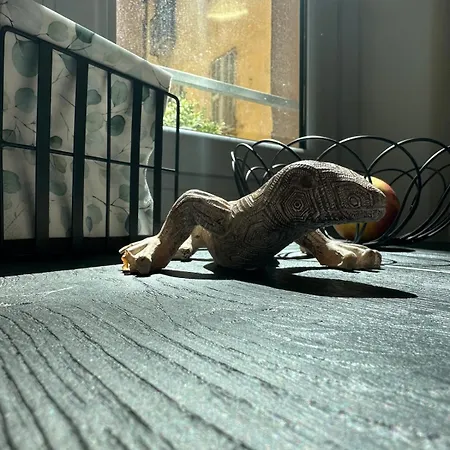 Nice-flat-nice Νίκαια